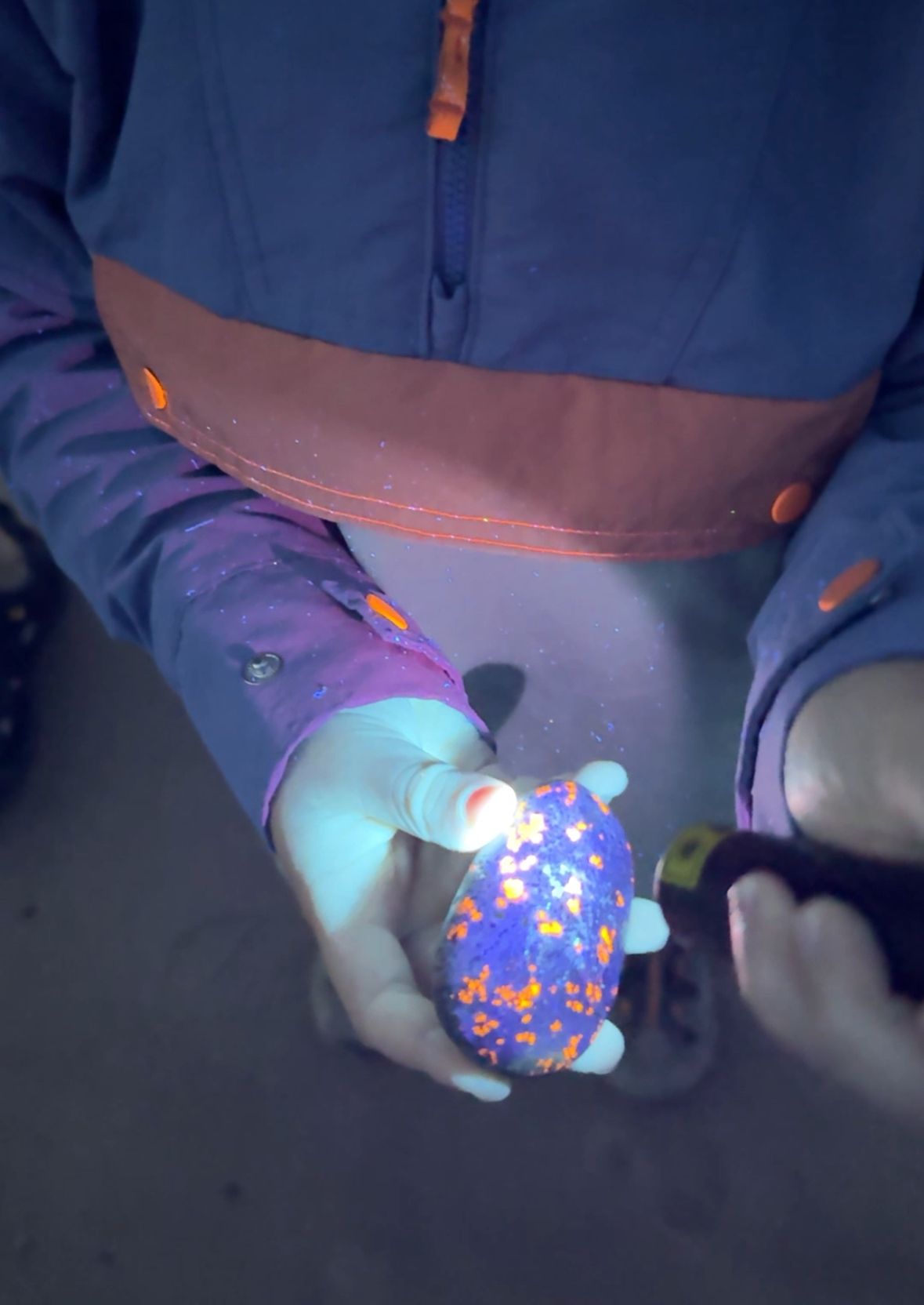 A child's hands holding a glowing yooperlite rock under a UV flashlight, bright orange sodalite spots lighting up against the dark Lake Superior shoreline