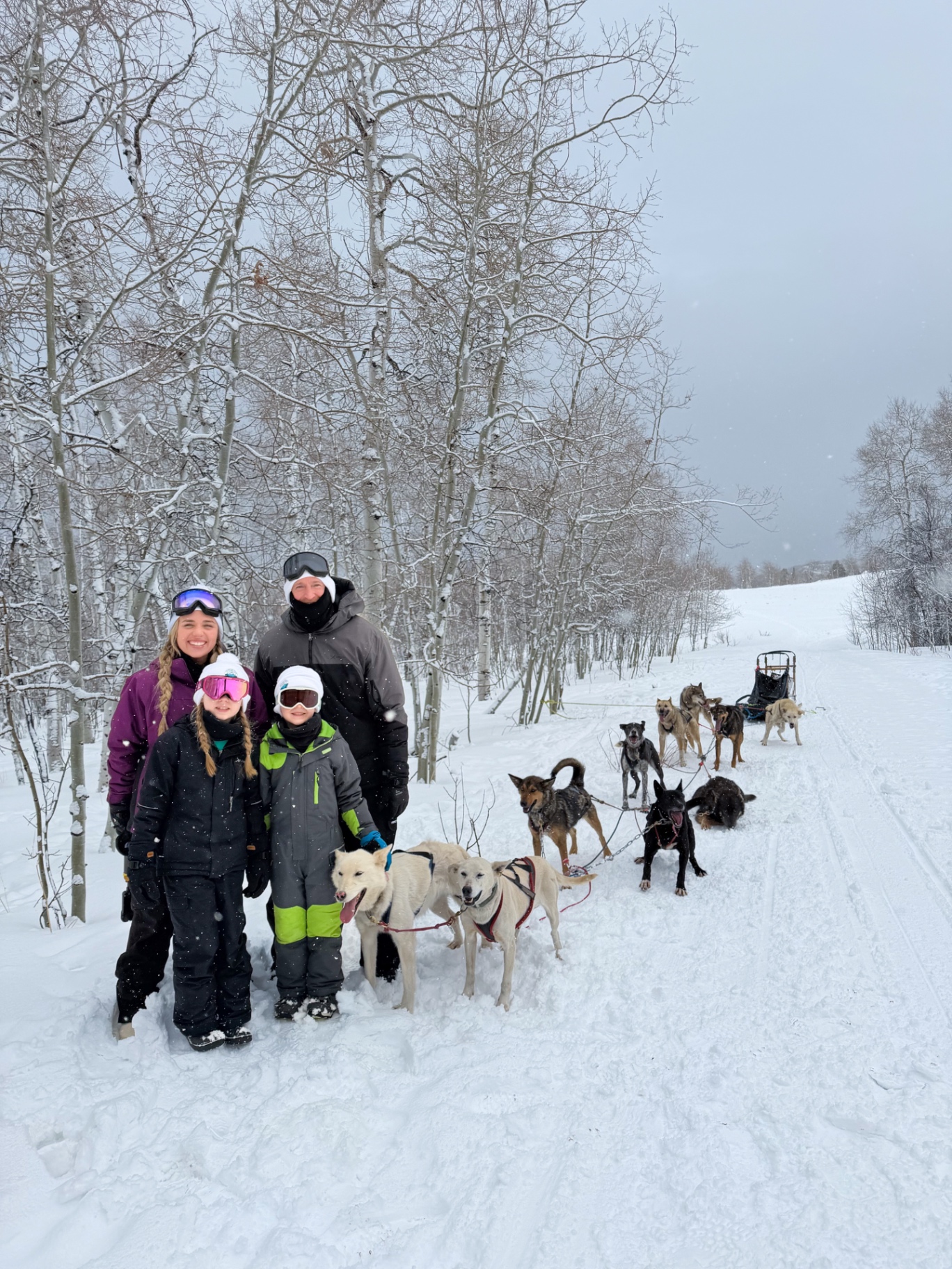A team of sled dogs pulling a sled down a snow-covered road lined with bare aspen trees in northern Utah