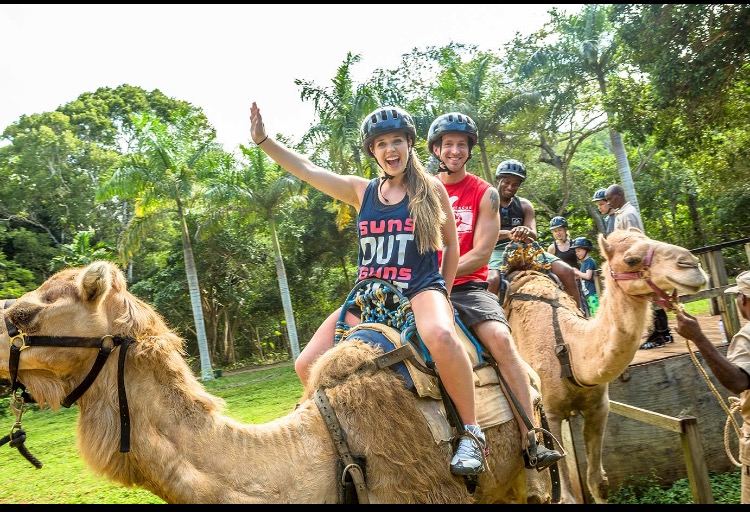 Brittany and Jake modeling for Island Routes: Camel Ride Excursion