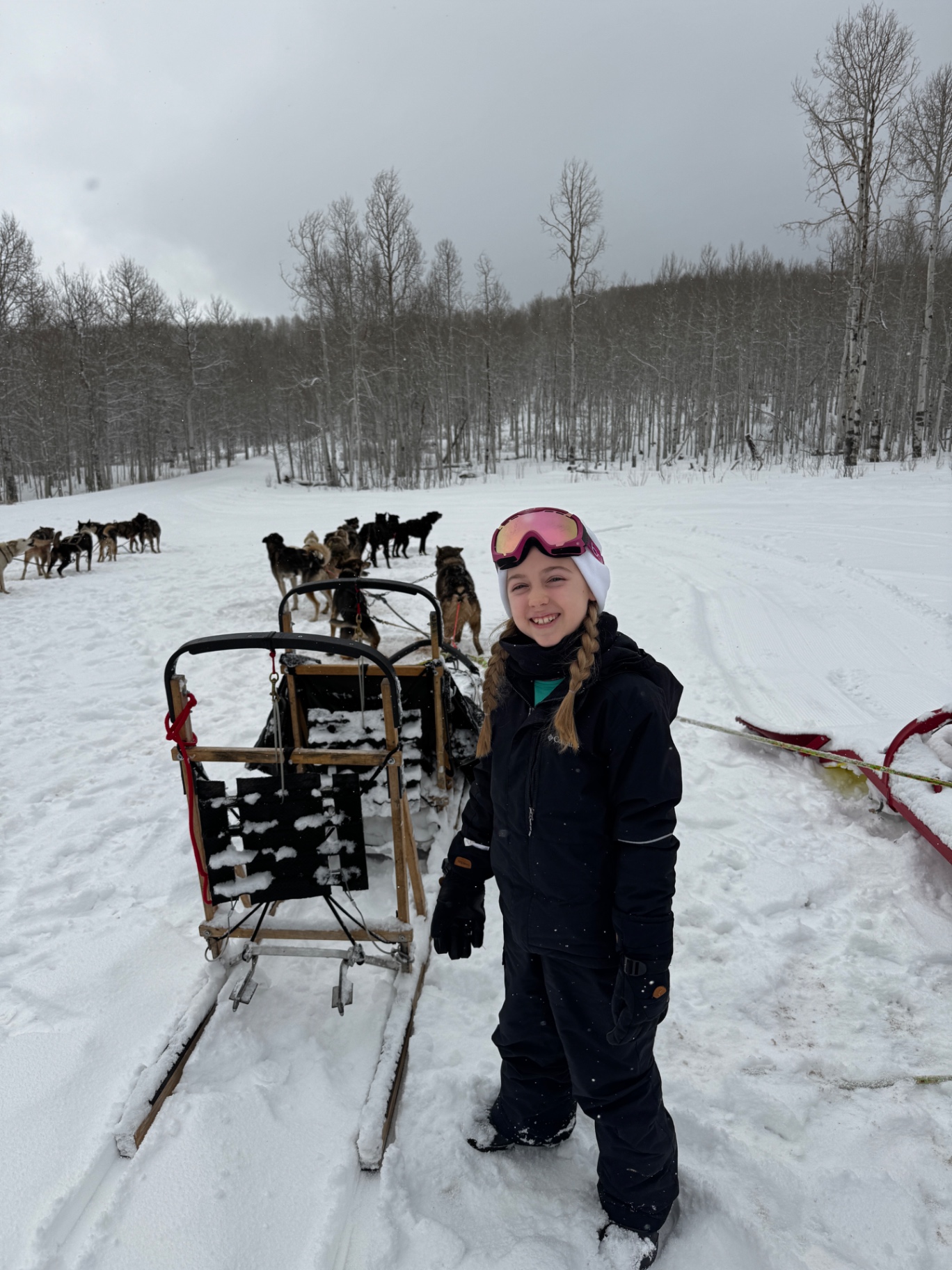 Aniston smiling next to a wooden sled with the dog team harnessed up in the snow behind her