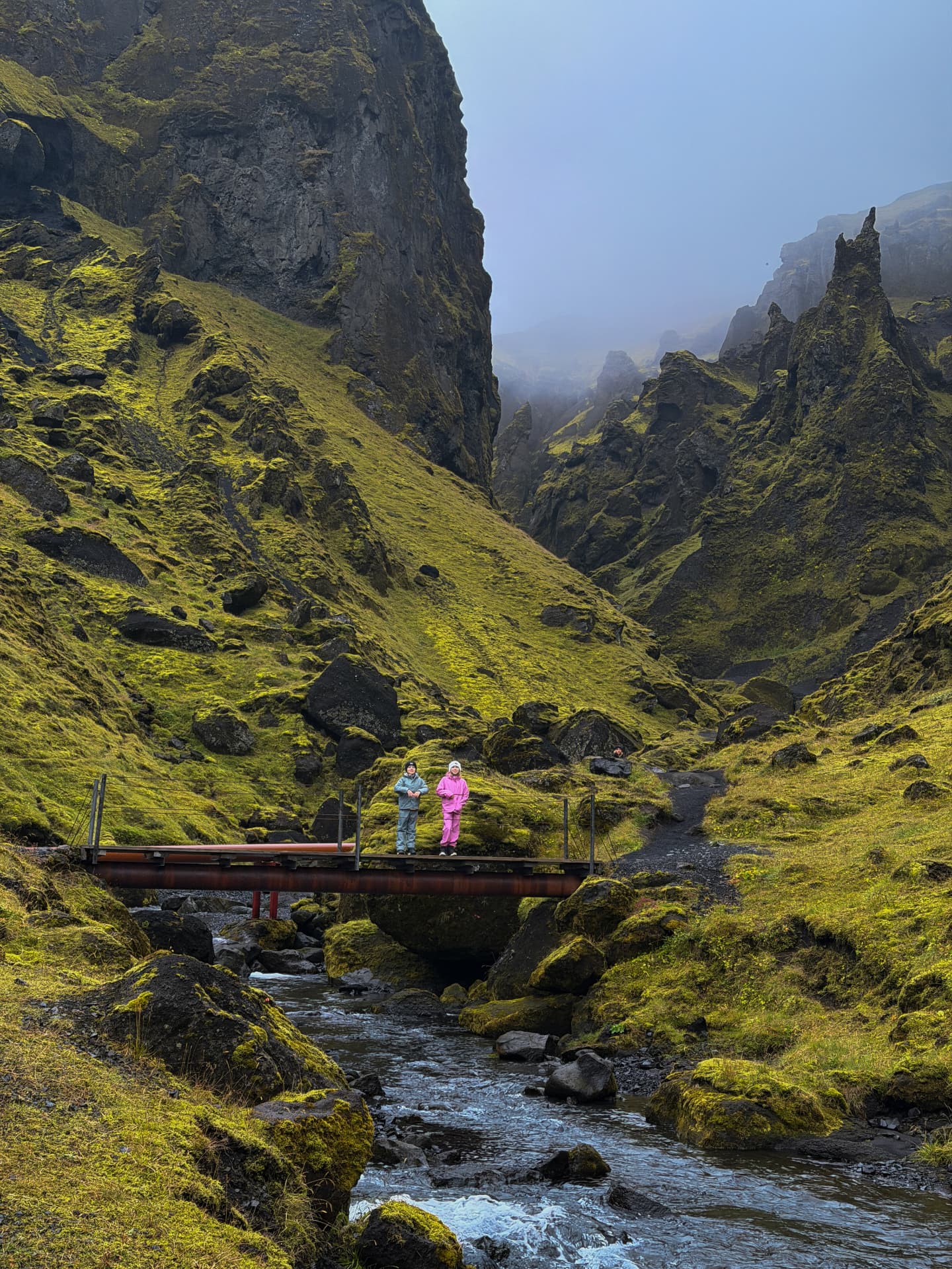 Hiking through the mossy green canyon at Þakgil, with the kids exploring one of the trails near camp