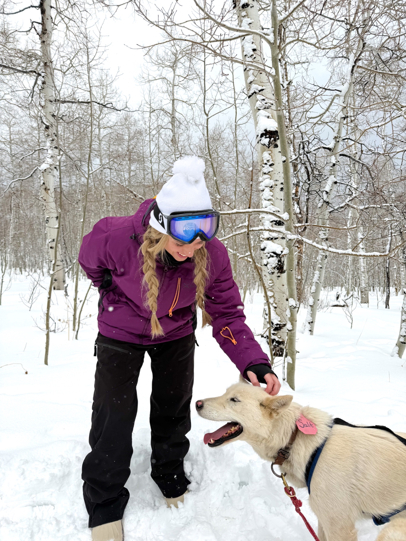 Brittany in goggles and a purple jacket petting a white sled dog named Salt in the snowy aspens