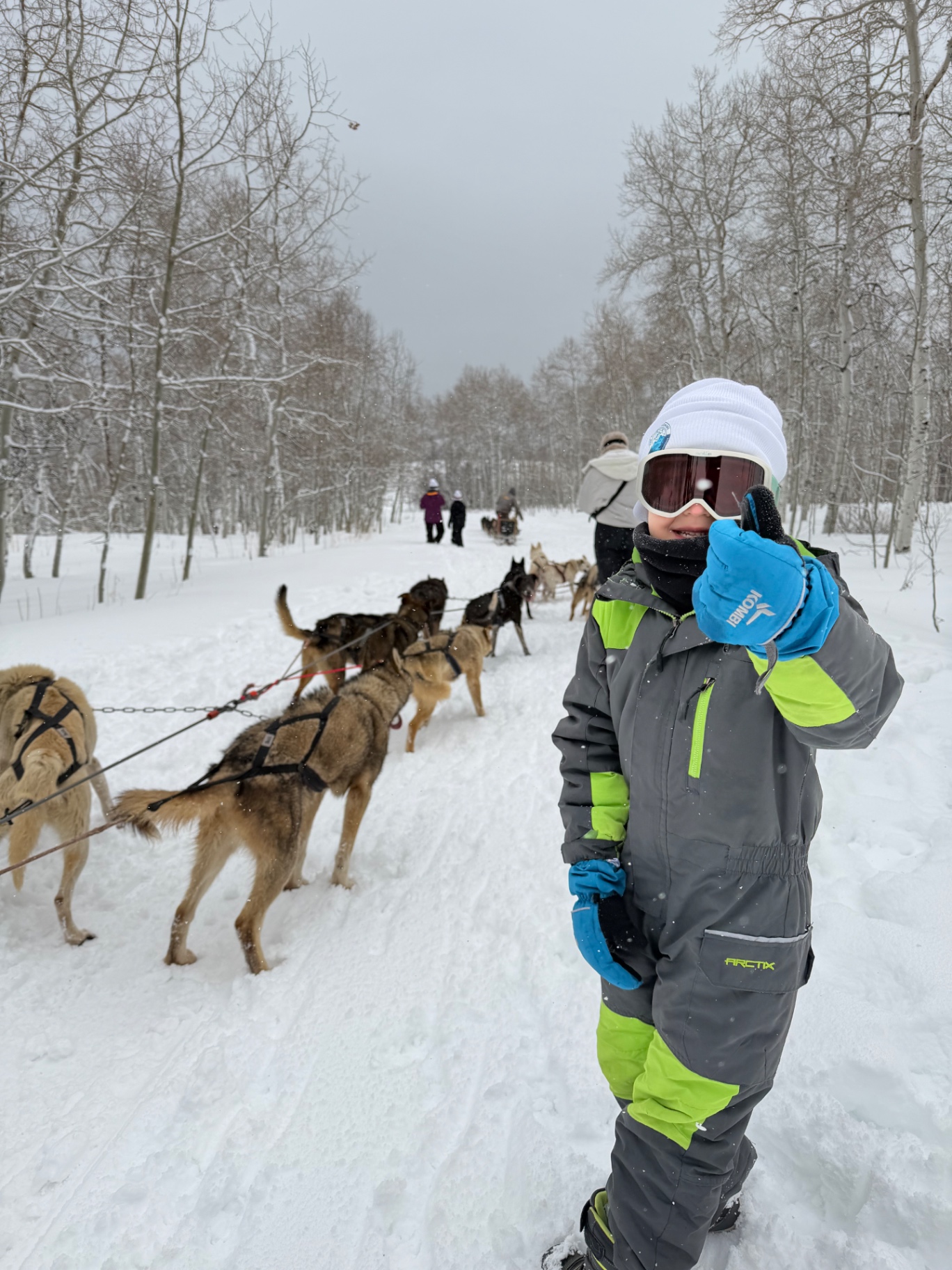 Noah in a gray and green snowsuit giving a thumbs up next to the resting sled dog team
