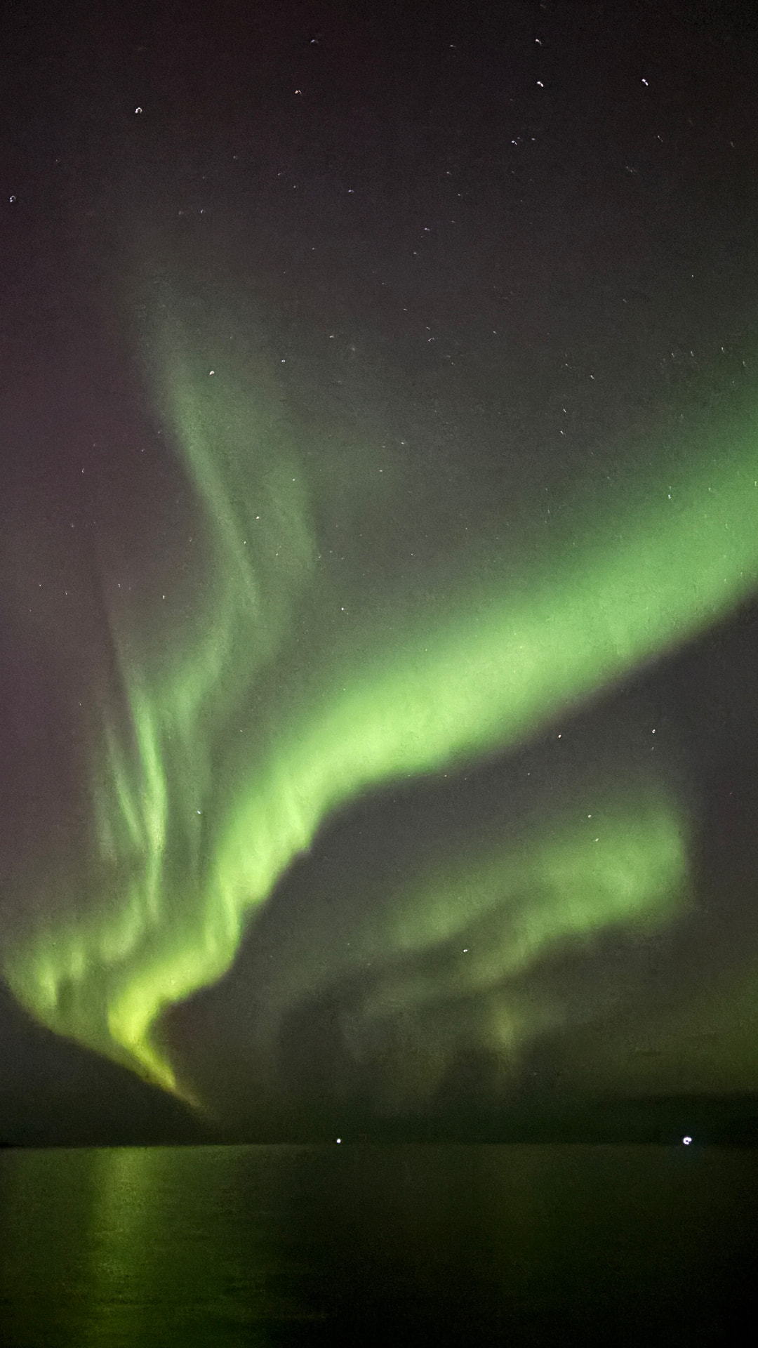 The Northern Lights glowing green over the water on our boat tour out of the Old Harbour